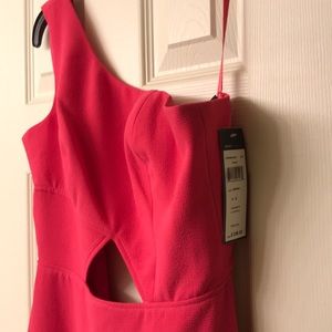 “Kauri” BCBG Dress in Begonia